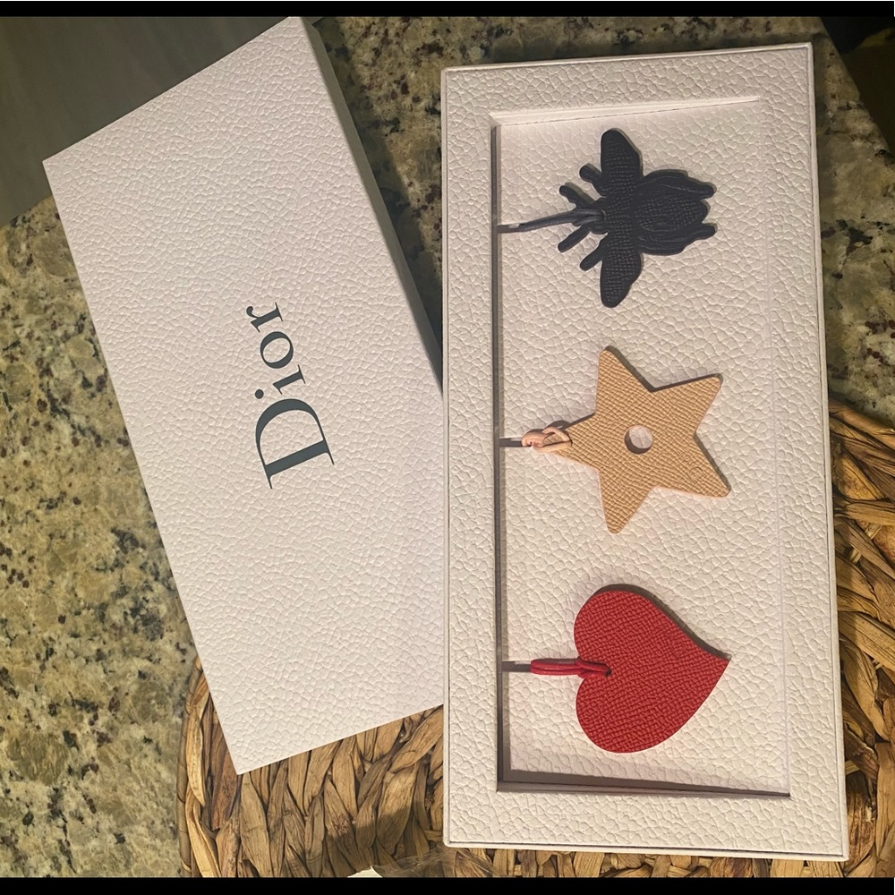Dior Colorful Handbag Accessories